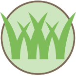 Lawn and Yard Care Pros