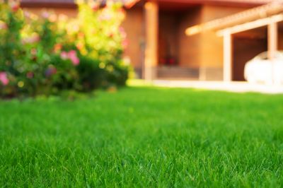 Commercial Lawn Care