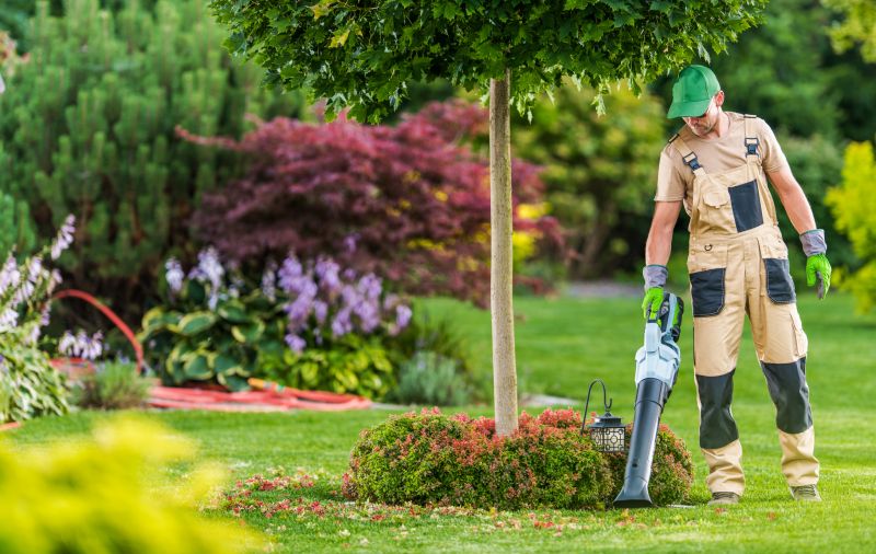 Lawn Maintenance