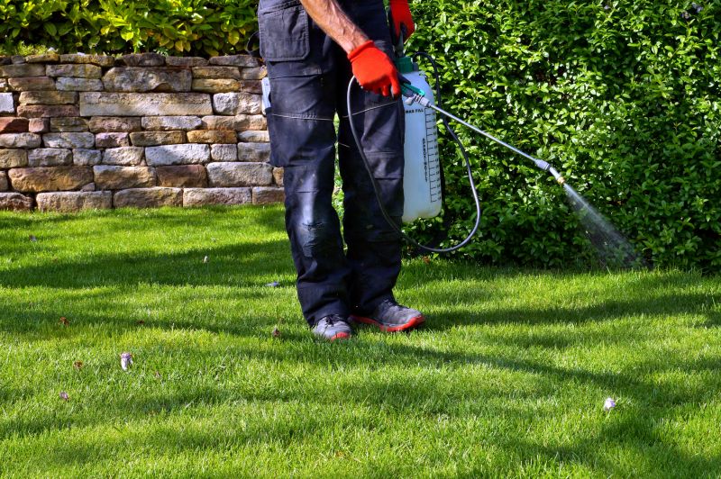 Lawn Weed Control in Rockwall, TX