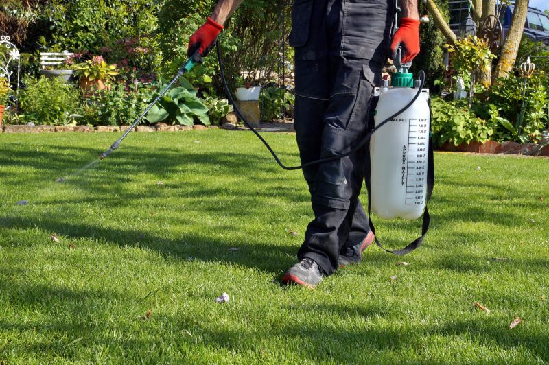 Lawn Weed Control in Honolulu, HI